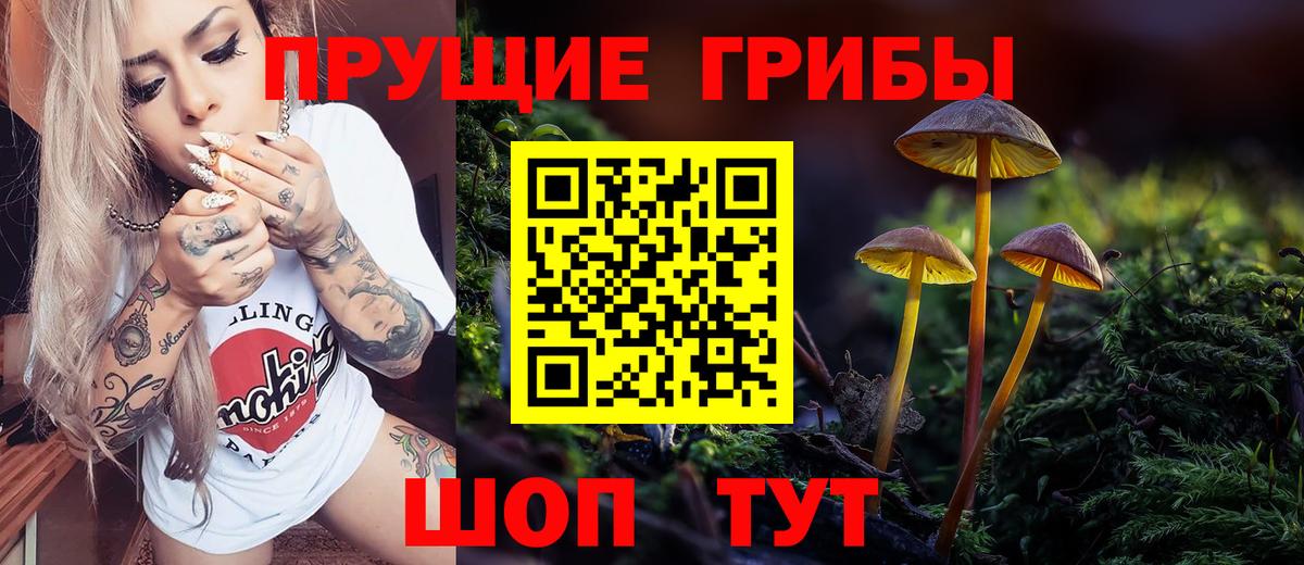 Псилоцибиновые грибы MAGIC MUSHROOMS  Вход с VPN  купить   Химки 